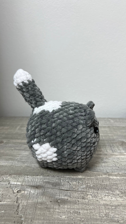 🐾 Kuschelkatze “Chamia” – dein kleiner Glücksbringer