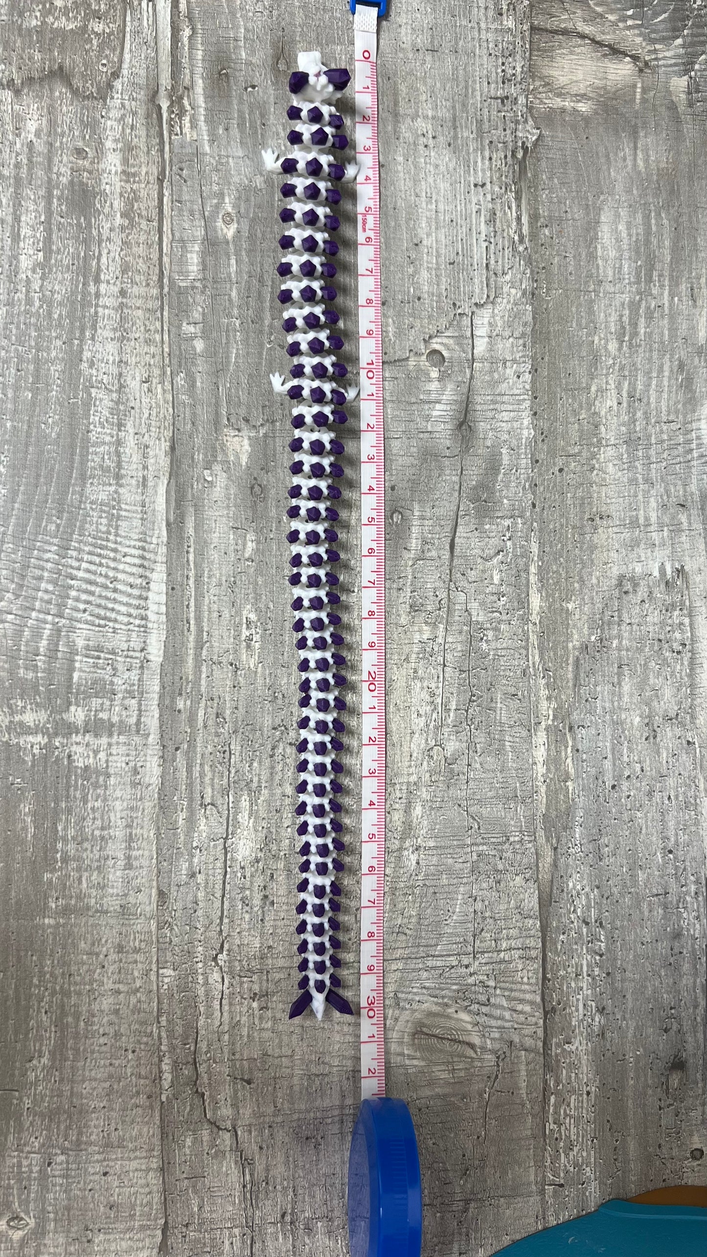 🐉 Dein Drache im Ei