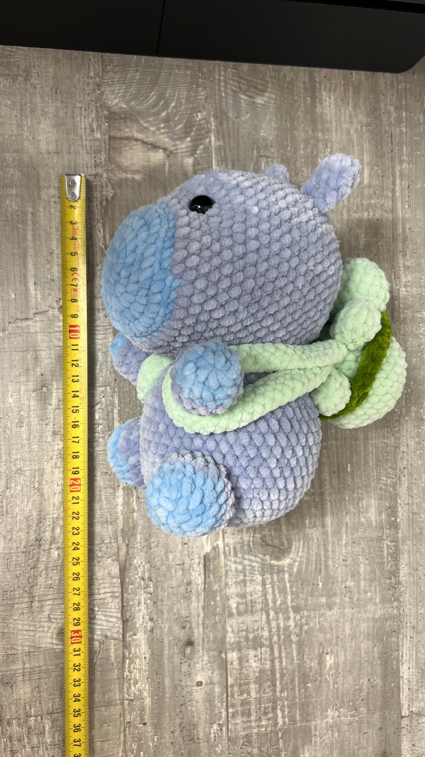 🐻 Coco das Capybara